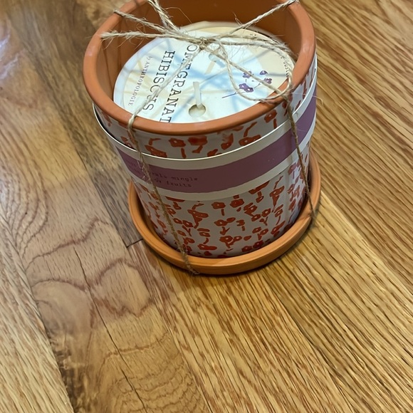 Anthropologie Blooming Terracotta Planter Candle NEW - Picture 7 of 9
